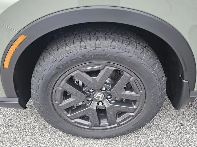 image-9