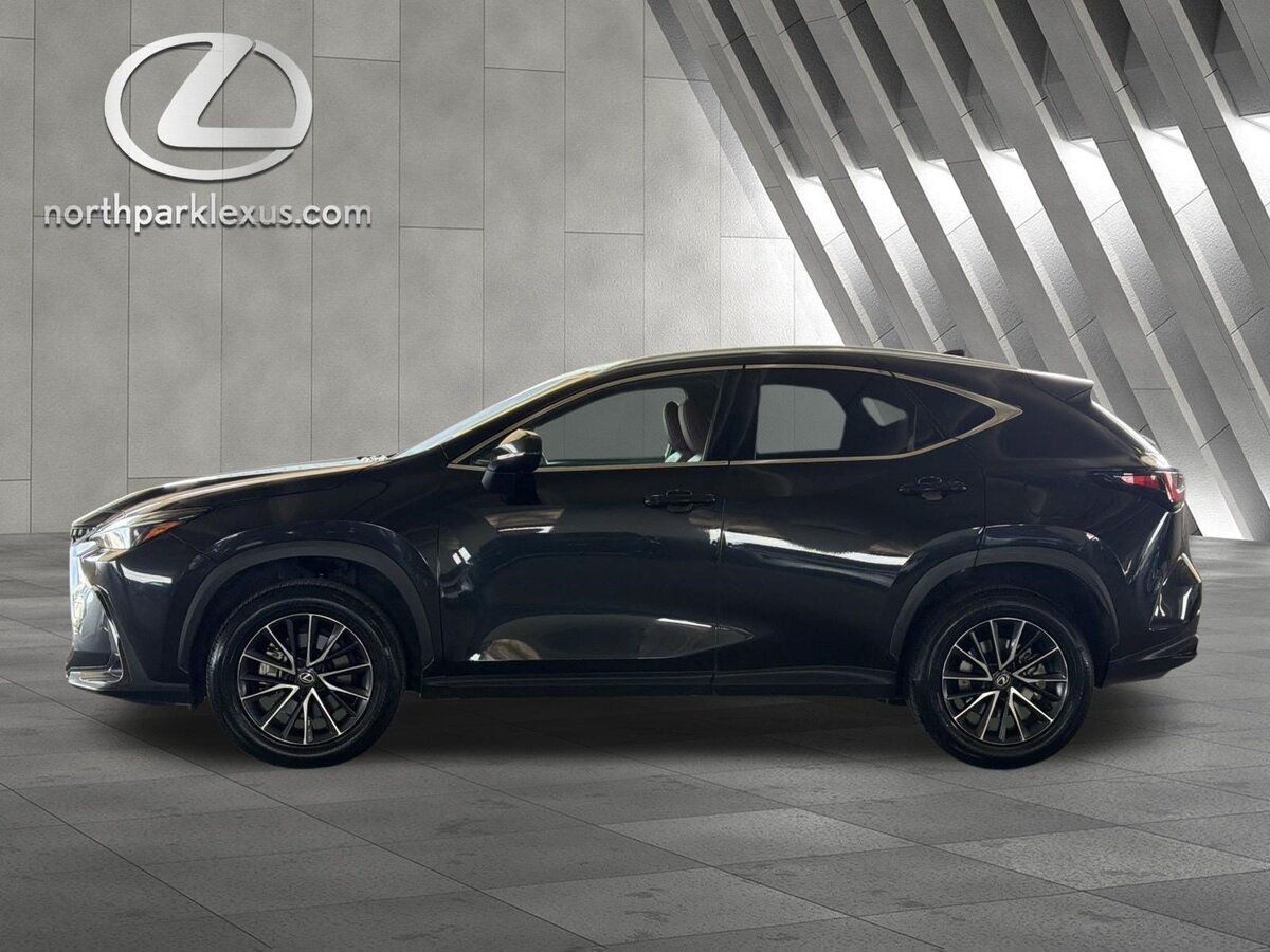 2024 Lexus NX 250 Premium