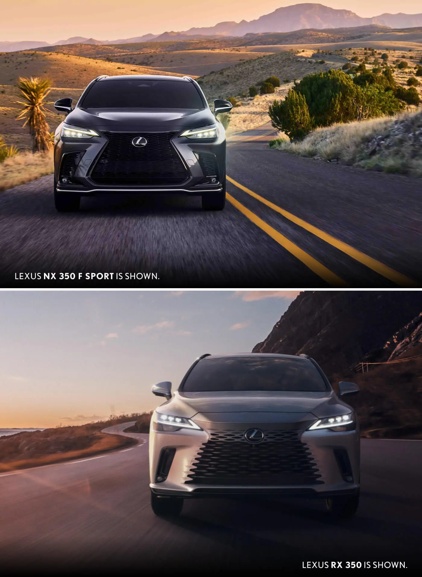 Lexus NX vs. RX Configurations & Trim Options