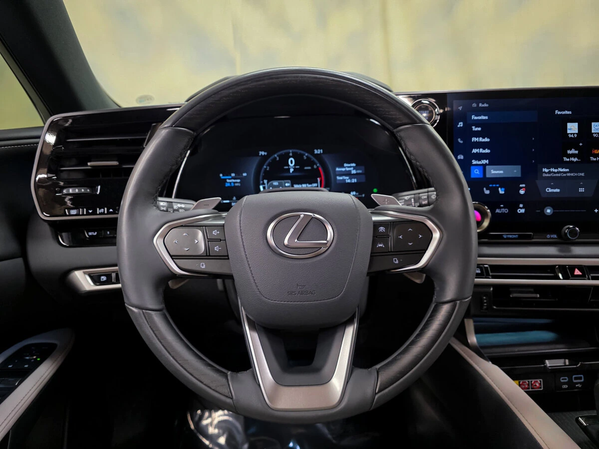 2025 Lexus RX 350 - Photo 14