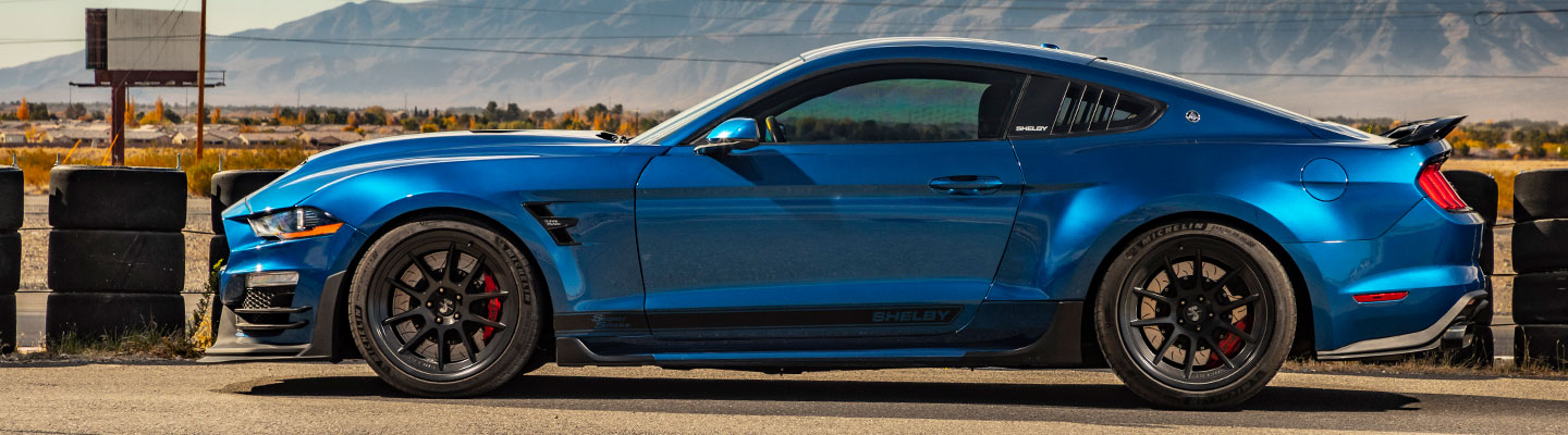 Blue Shelby Super Snake Portrait