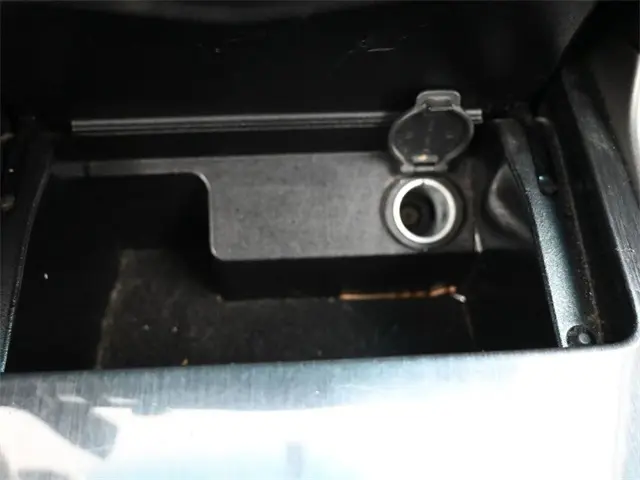 image-19