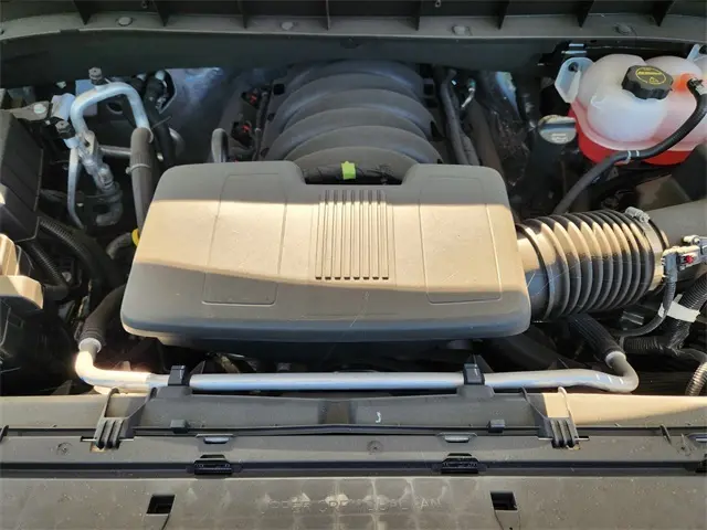 image-19