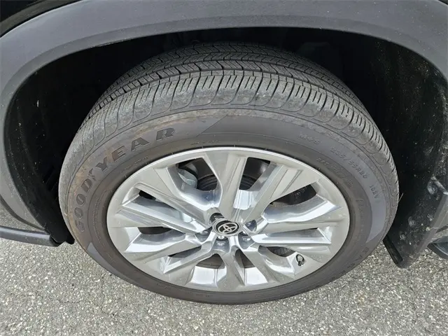 image-19