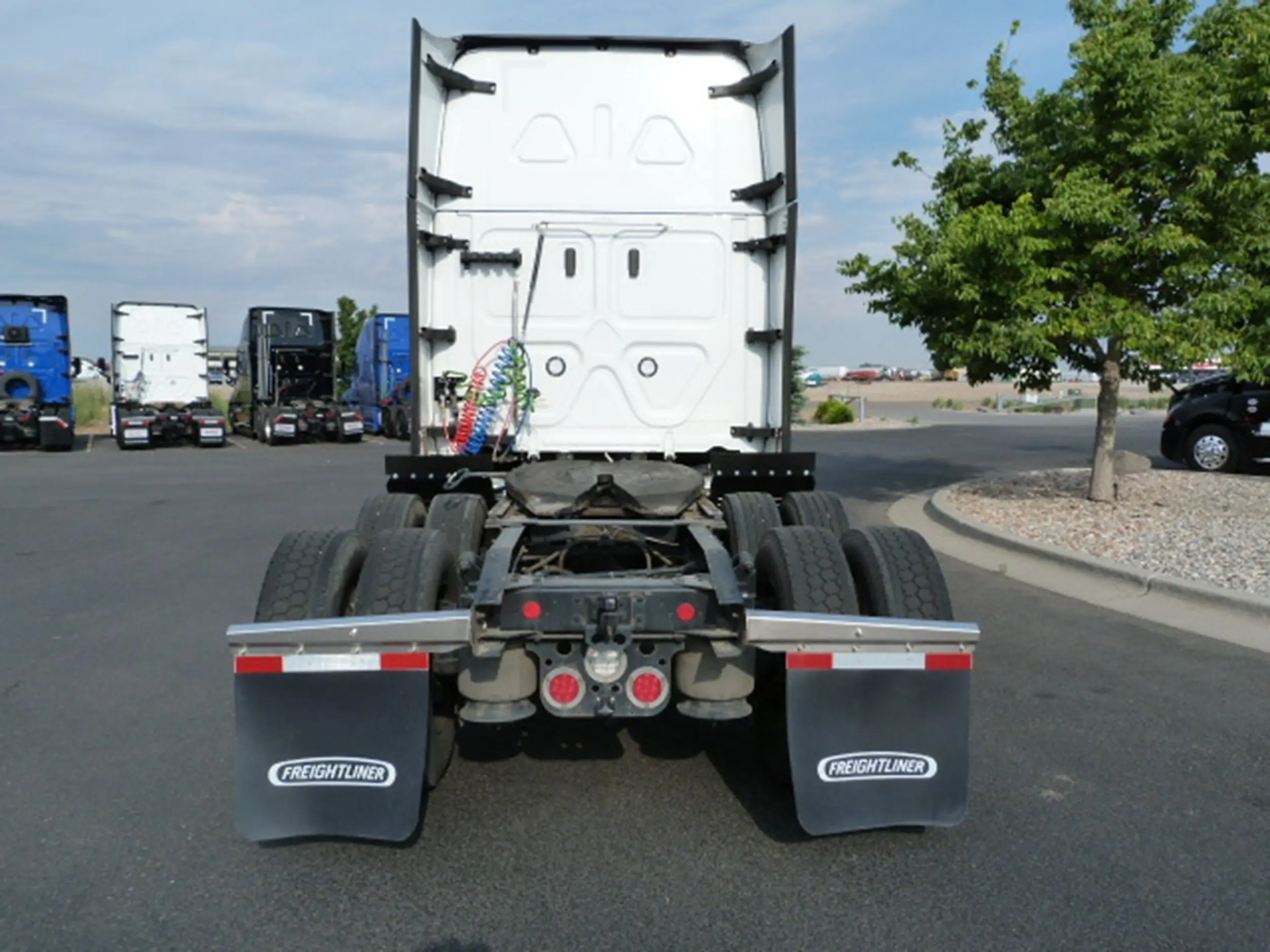 image-6