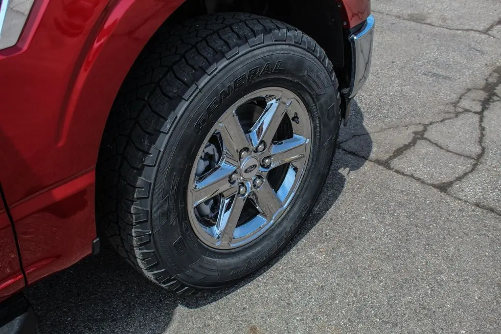 image-11