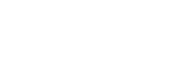 Dealer Logo Primary