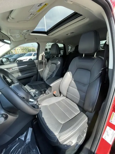 image-10