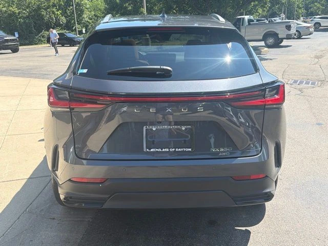 2025 Lexus NX 350 - Photo 6