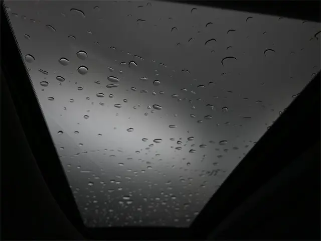 image-18