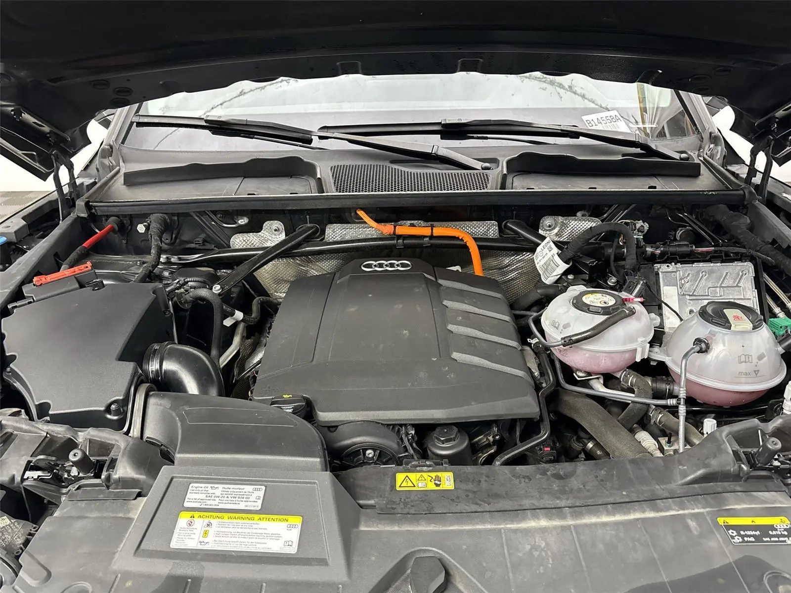 image-19