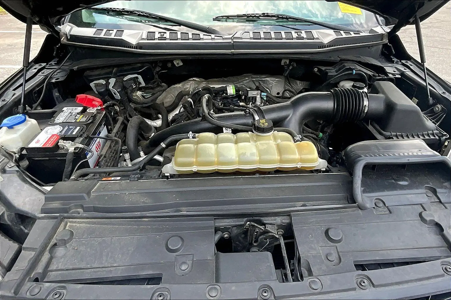 image-12