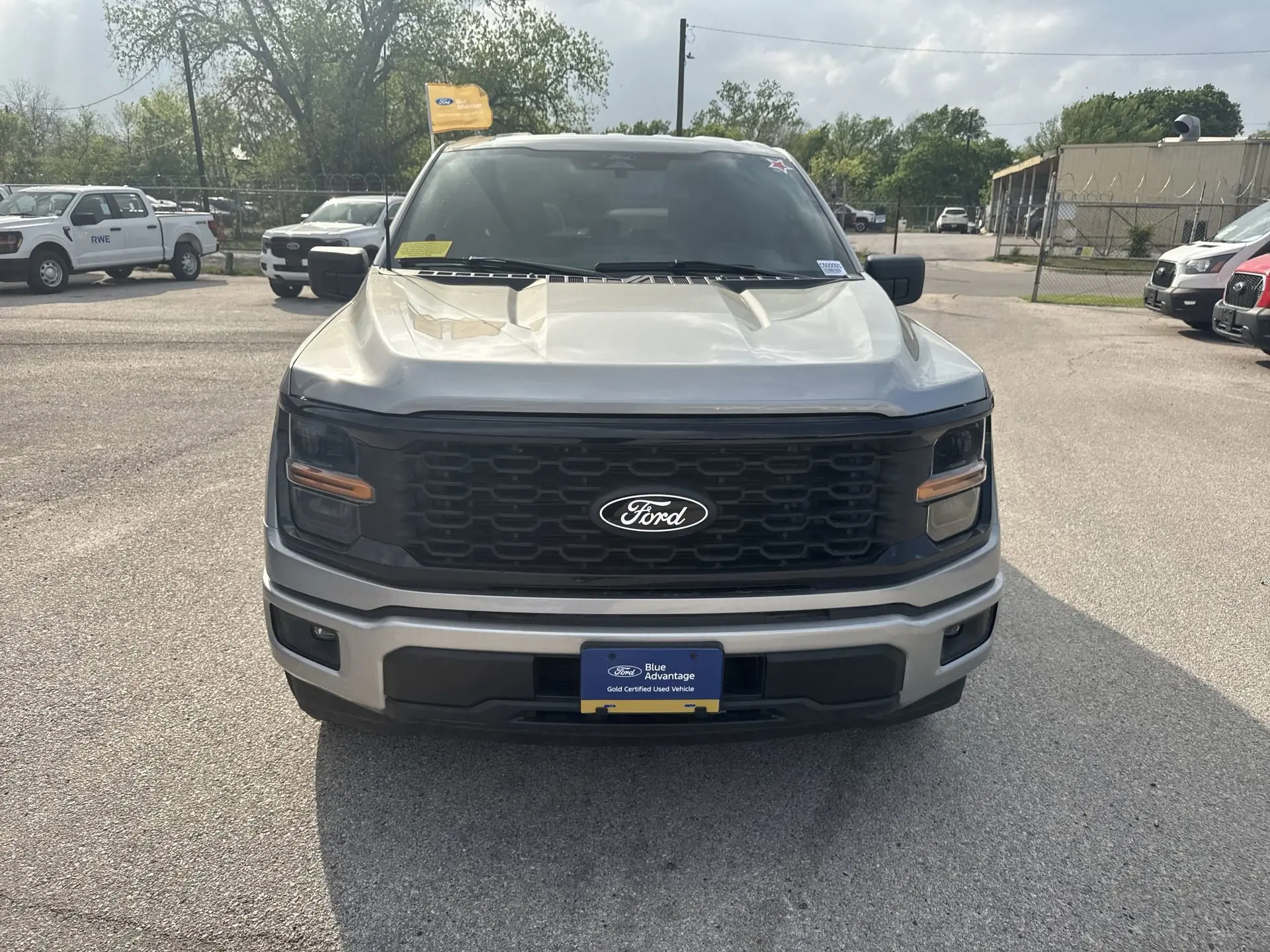 image-19