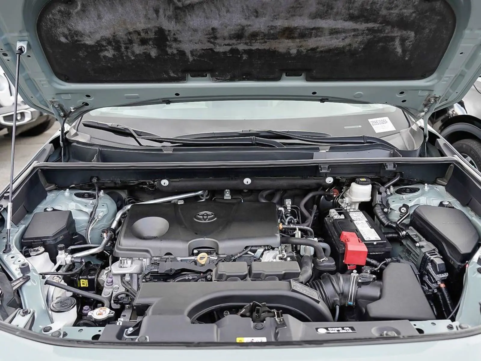 image-7