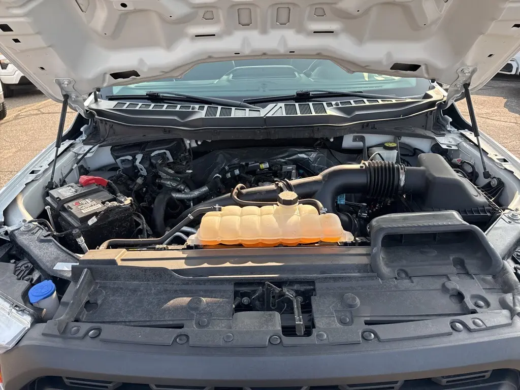 image-18