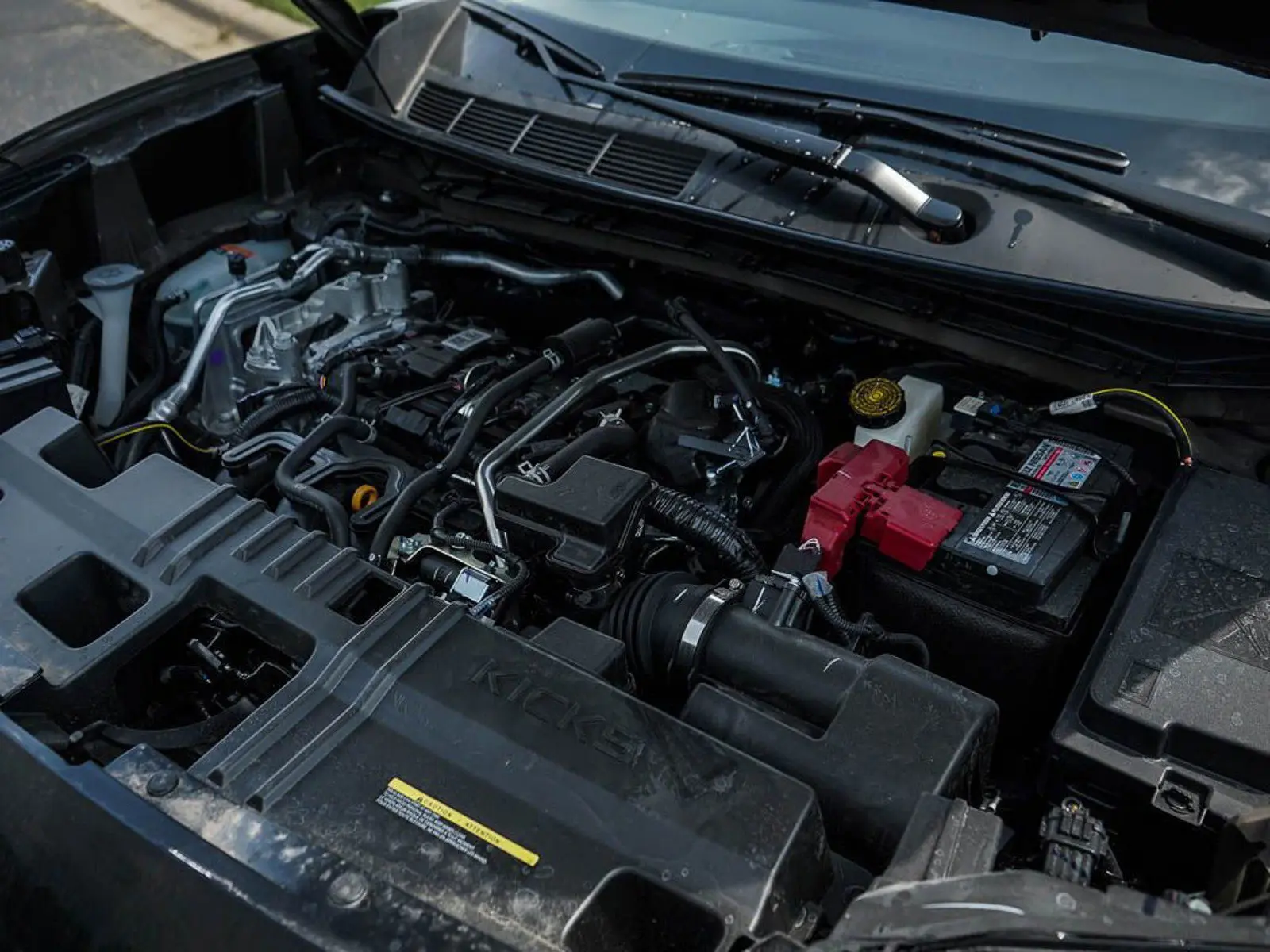 image-5