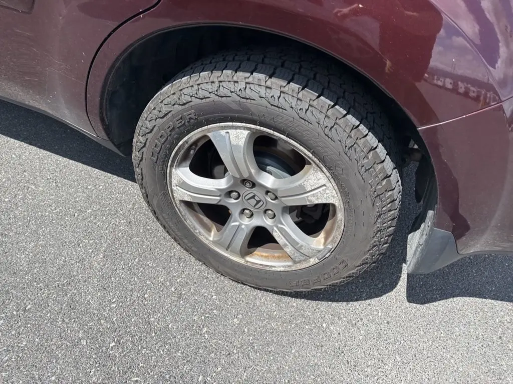 image-5