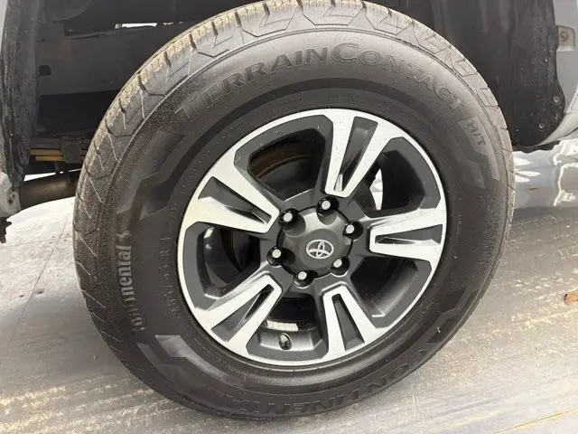 image-19