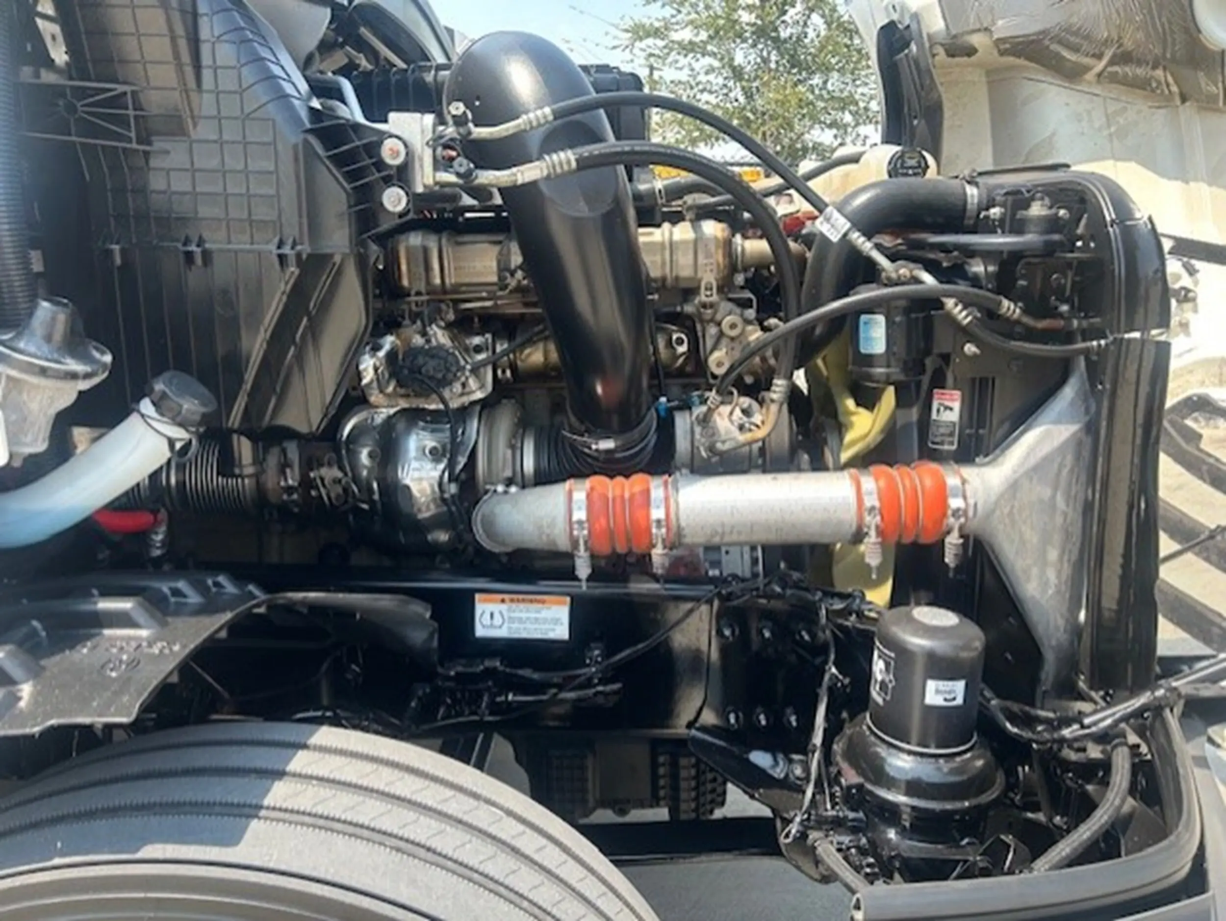 image-11