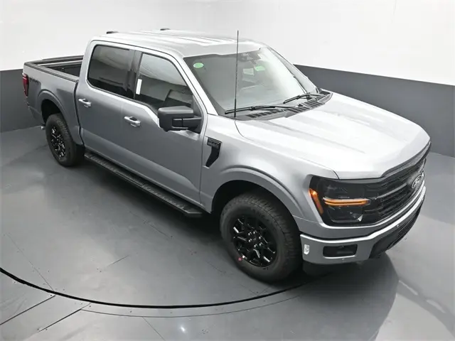 image-19