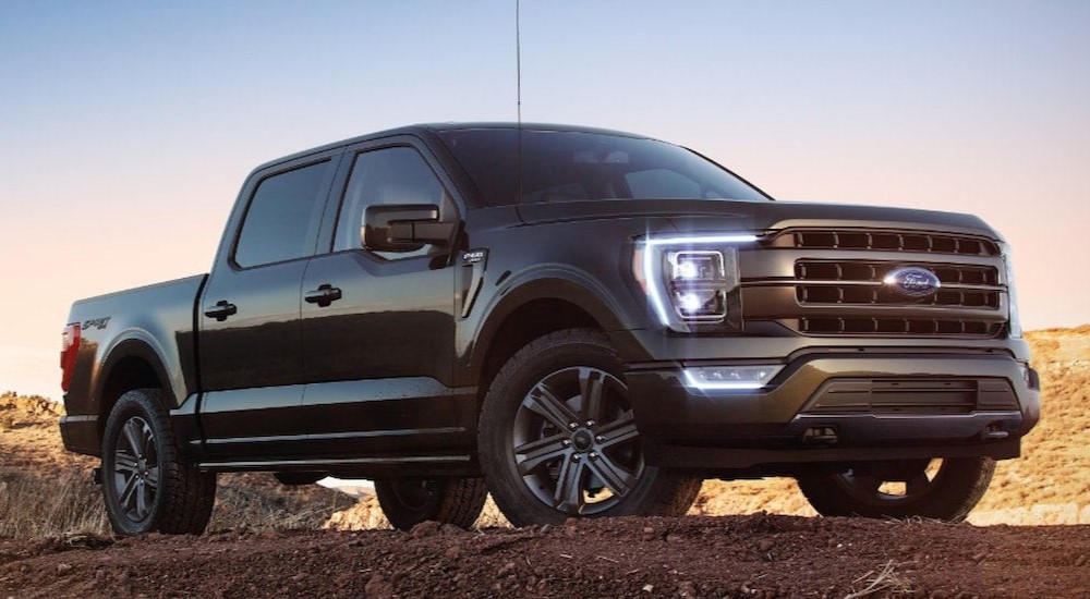 Black 2022 Ford F-150 XL Sport parked off-road on a hill.