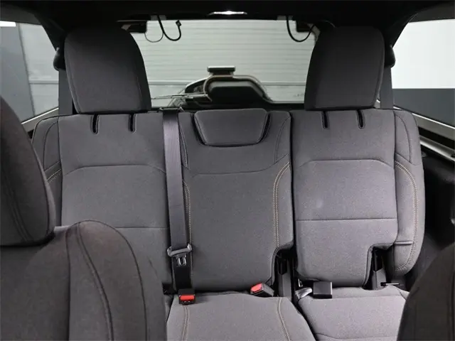 image-19