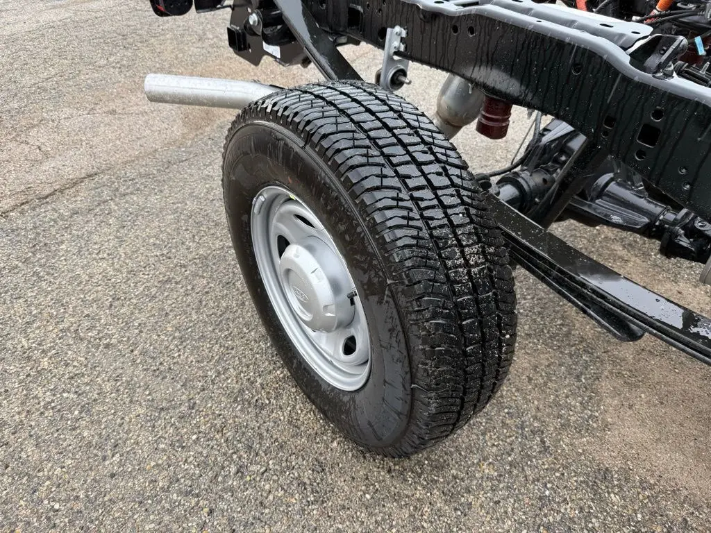 image-11