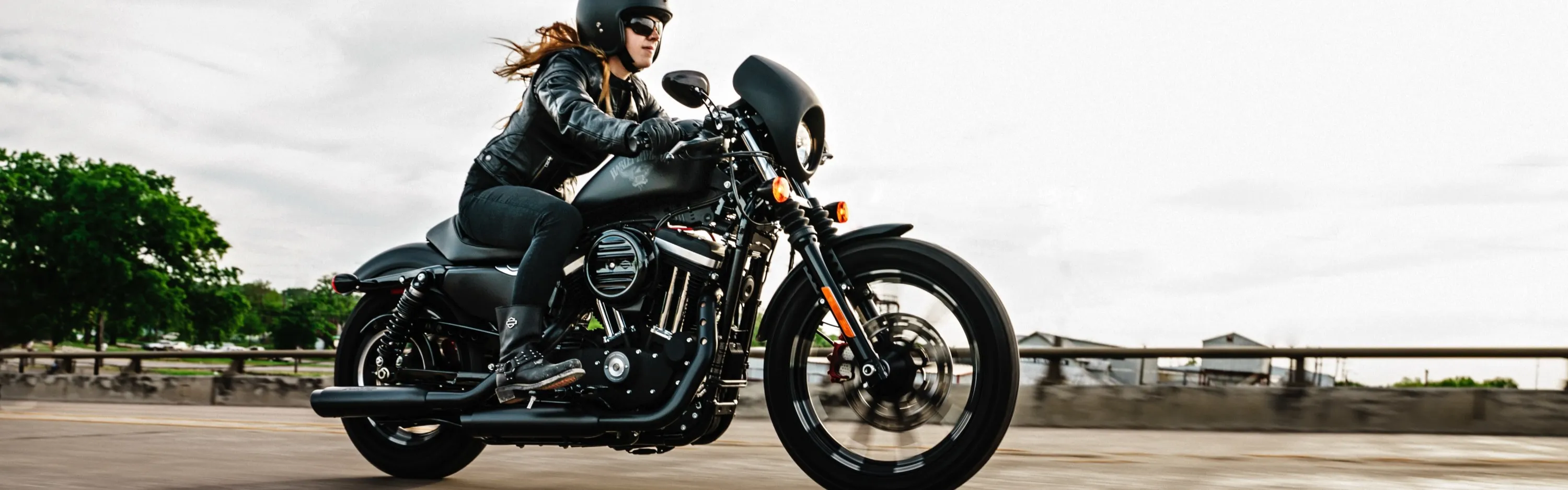 The Classic H-D Wellness check-up
