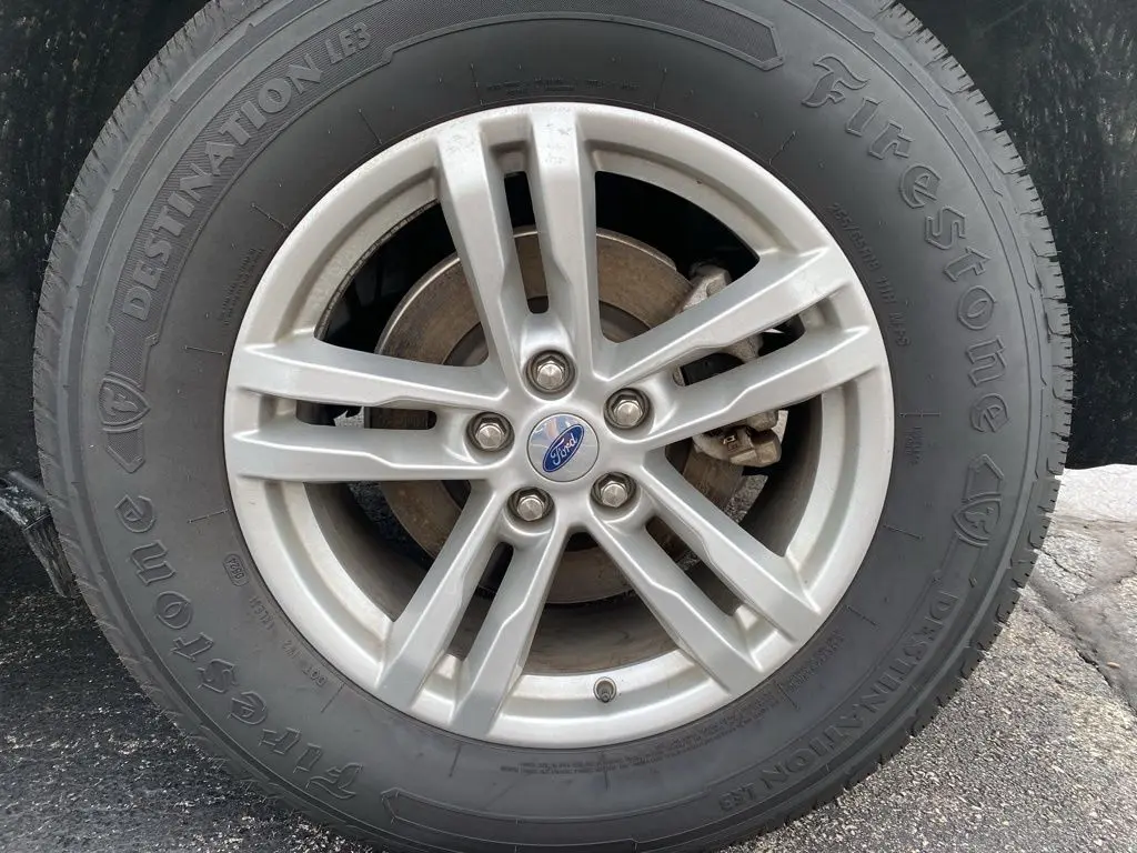 image-6