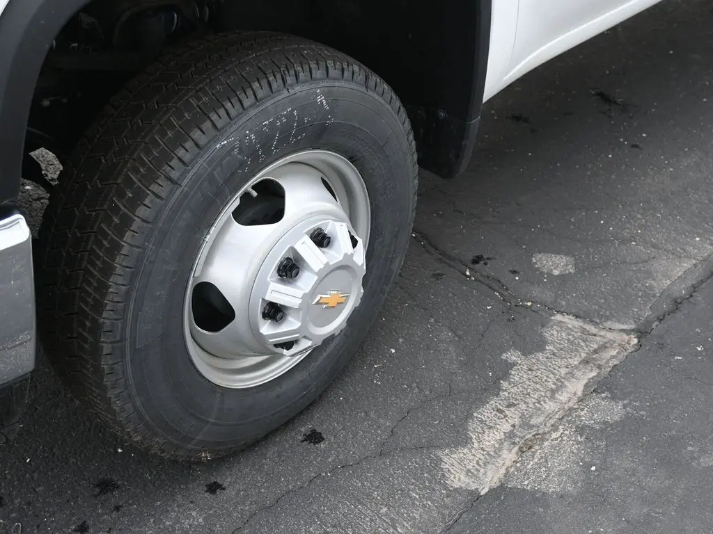 image-7