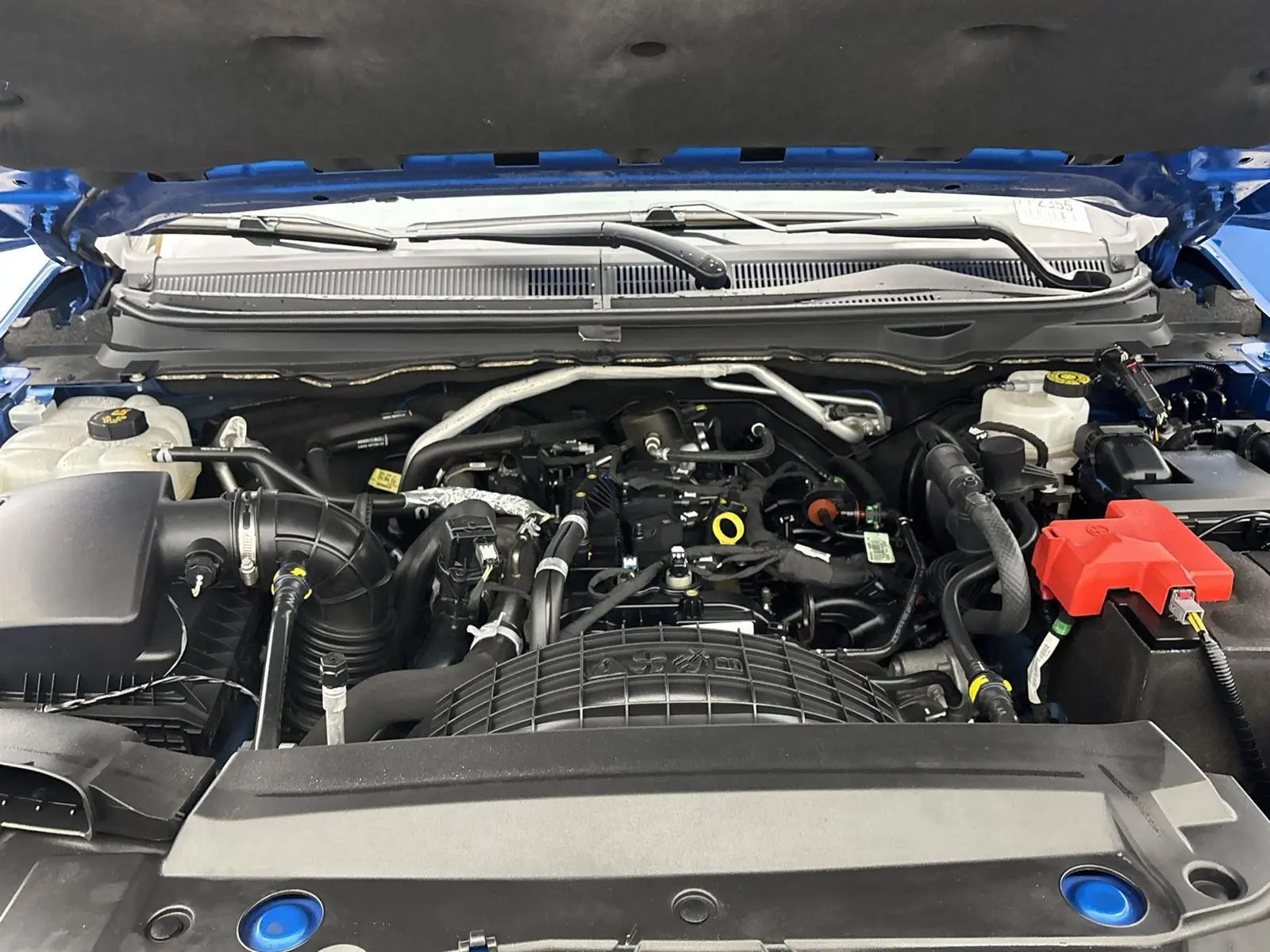 image-7