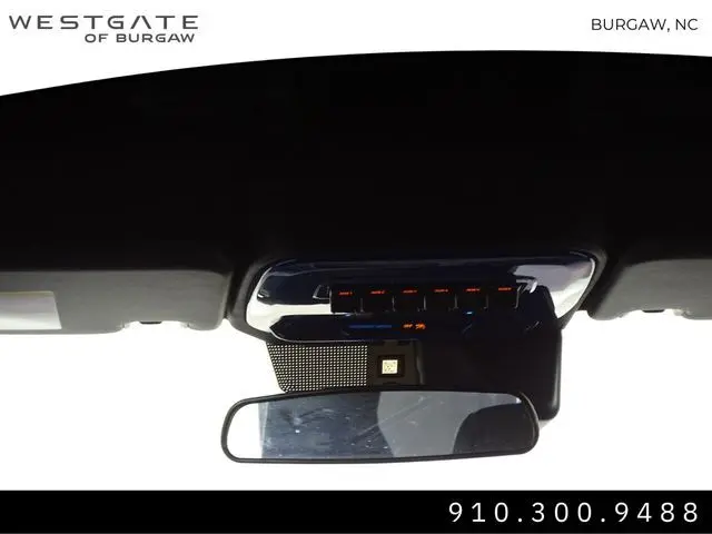 image-19