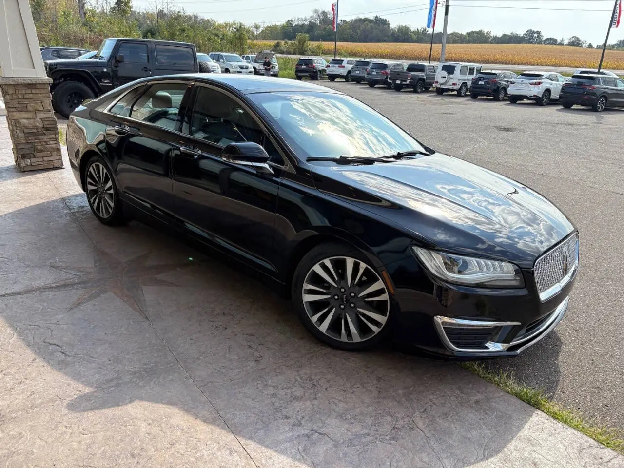 image-7