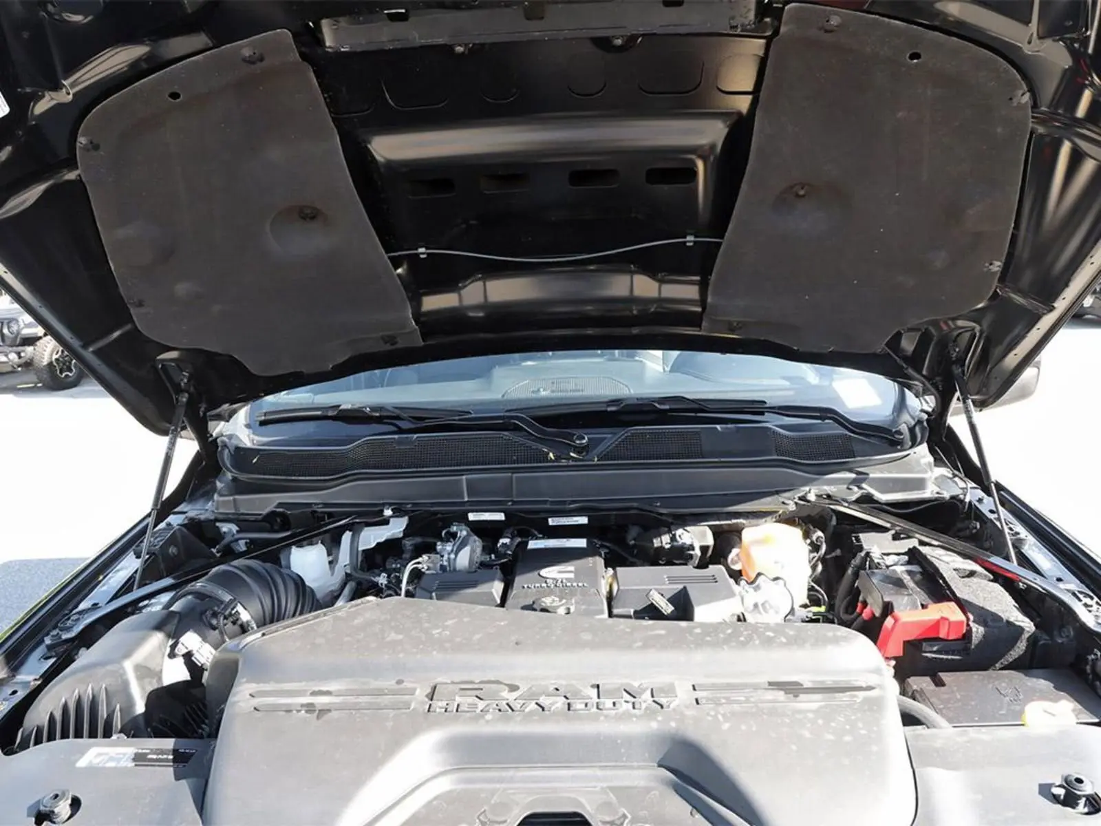 image-7
