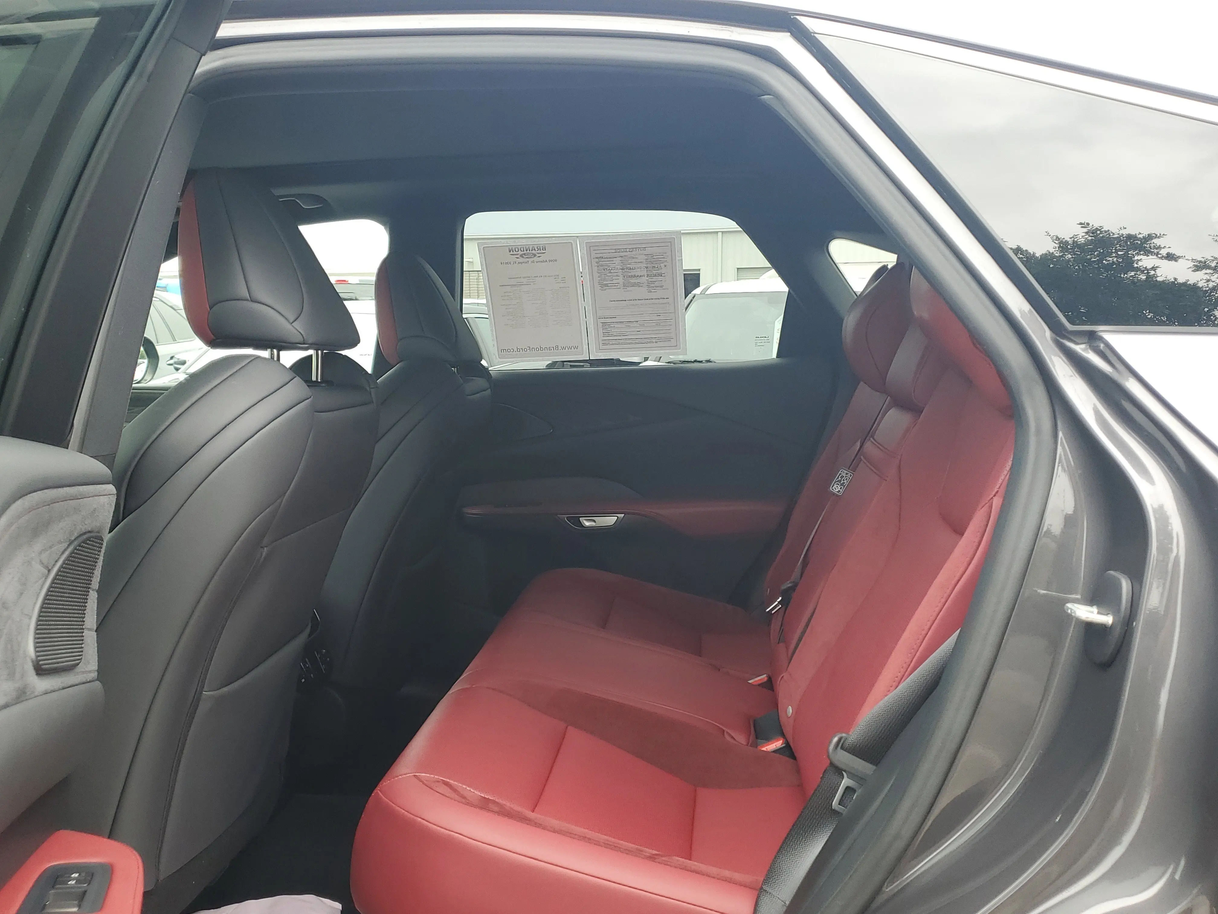 image-12