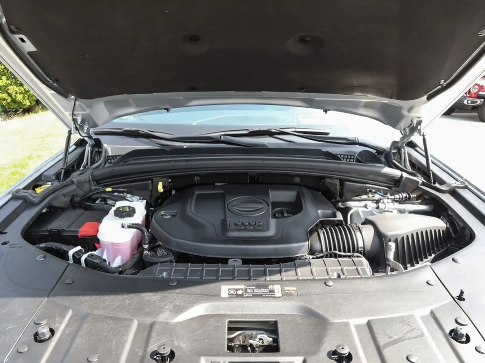 image-7