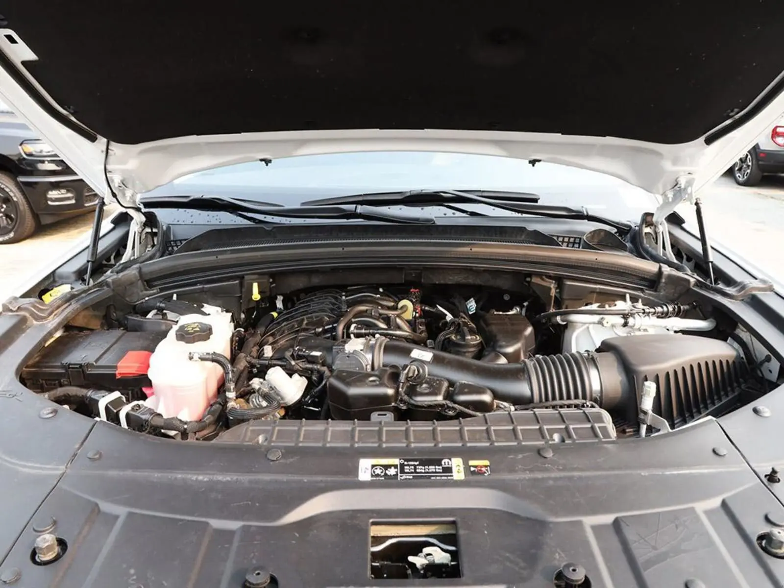 image-7