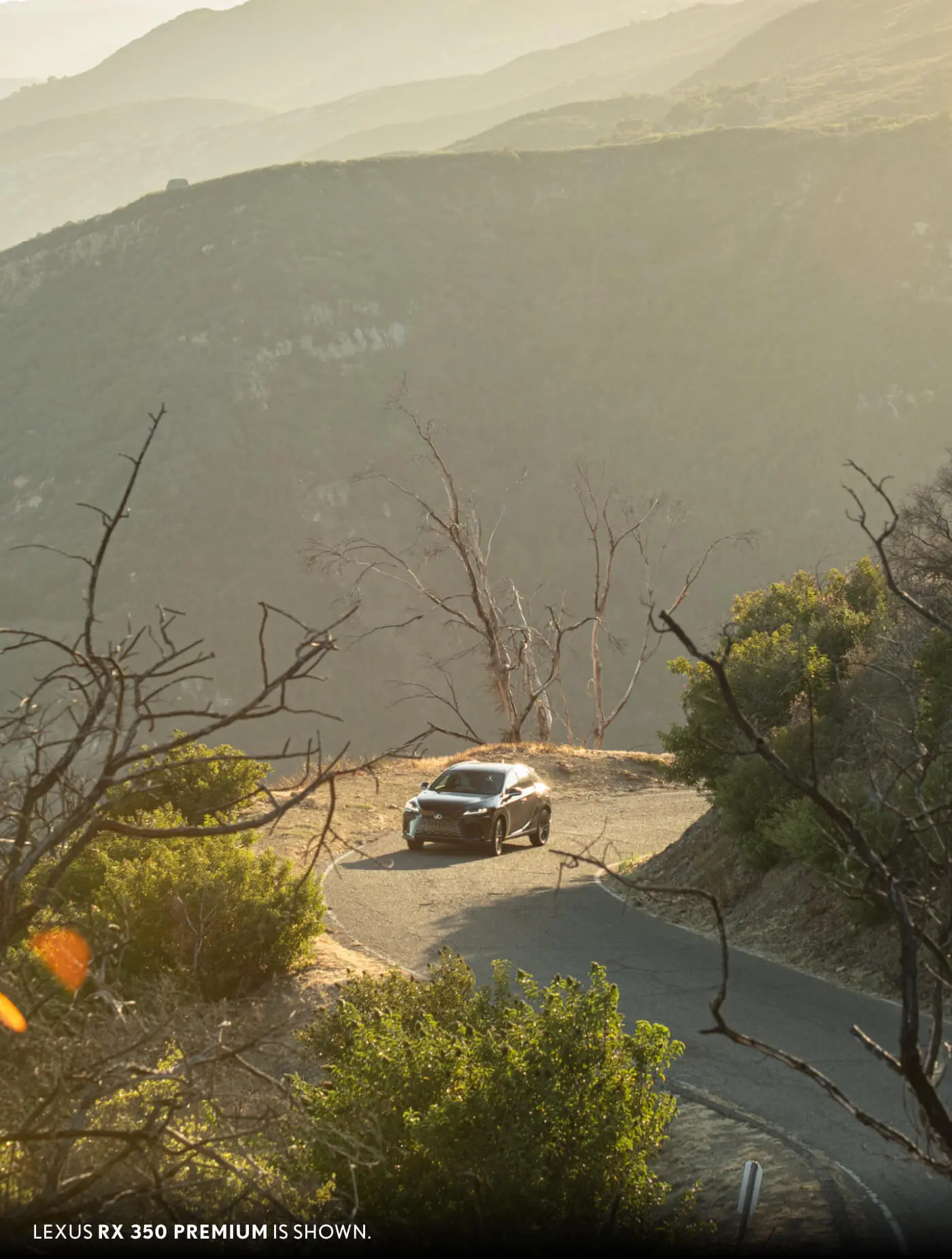 Lexus RX vs. Toyota Venza Trim Options & Configurations