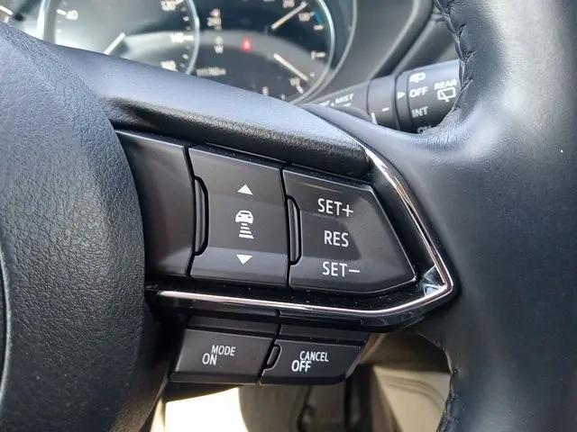 image-19