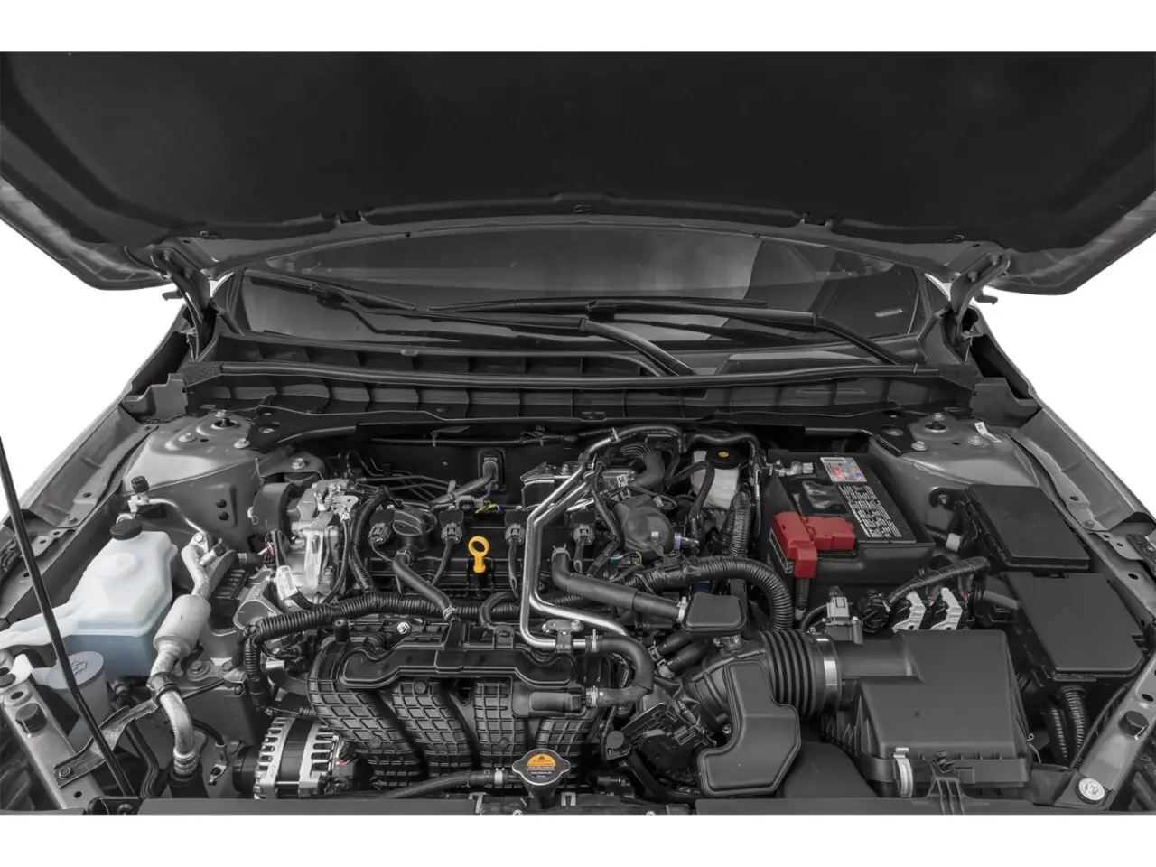 image-8