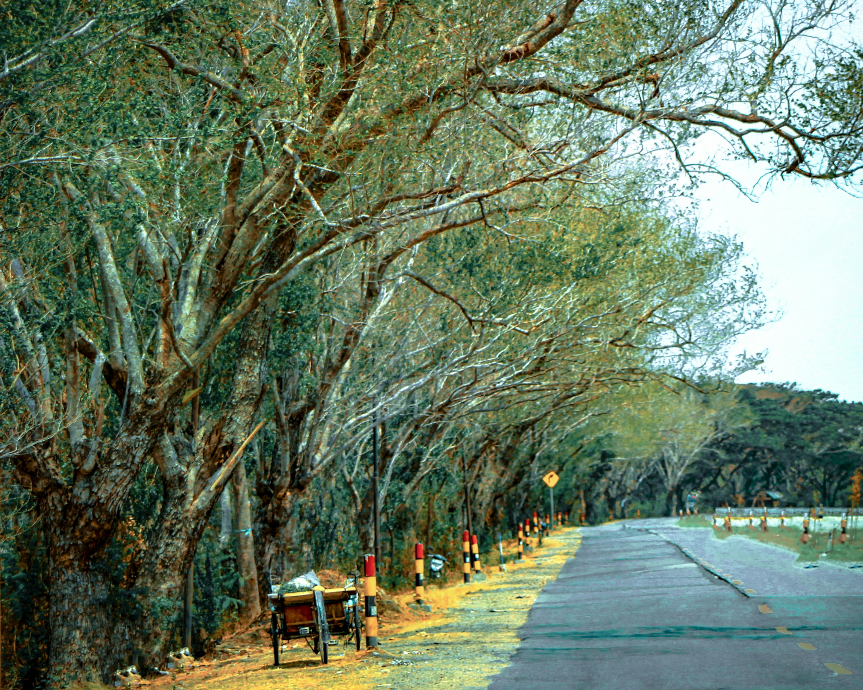 Family exploring a new Chevrolet Equinox near Savanna IL
