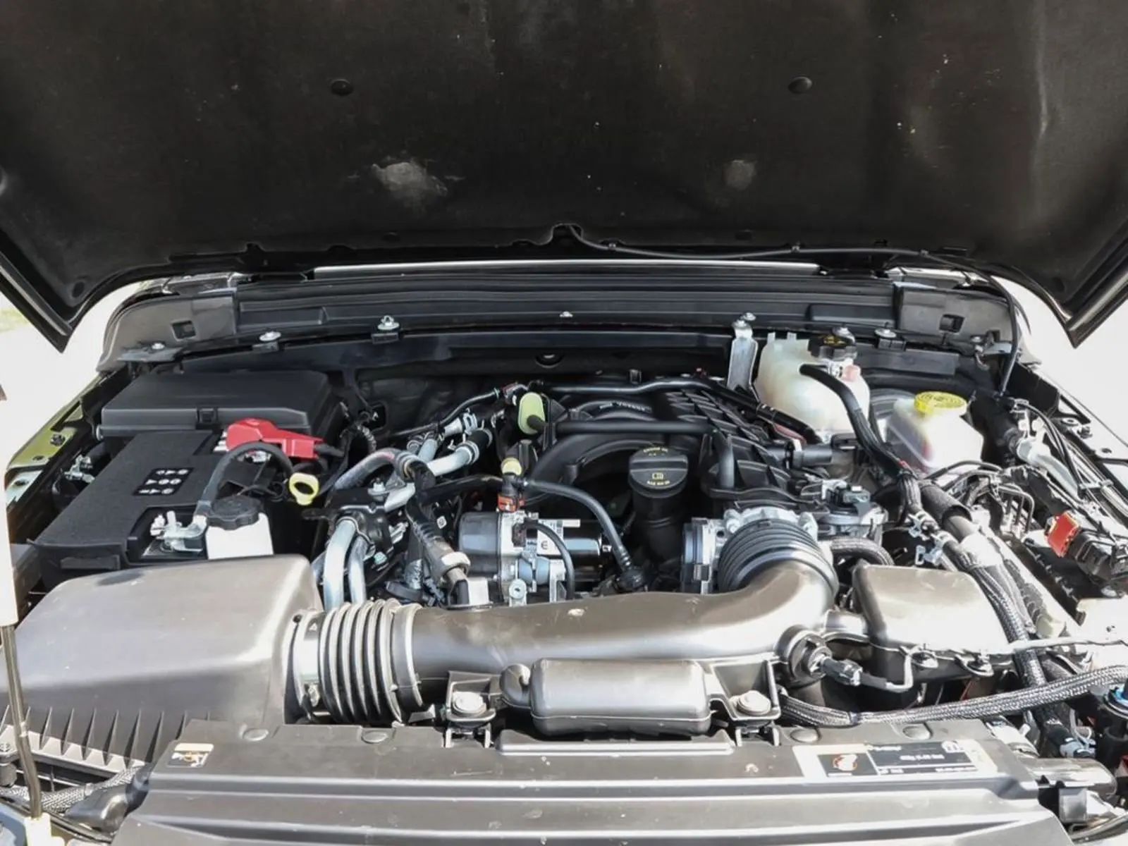 image-7