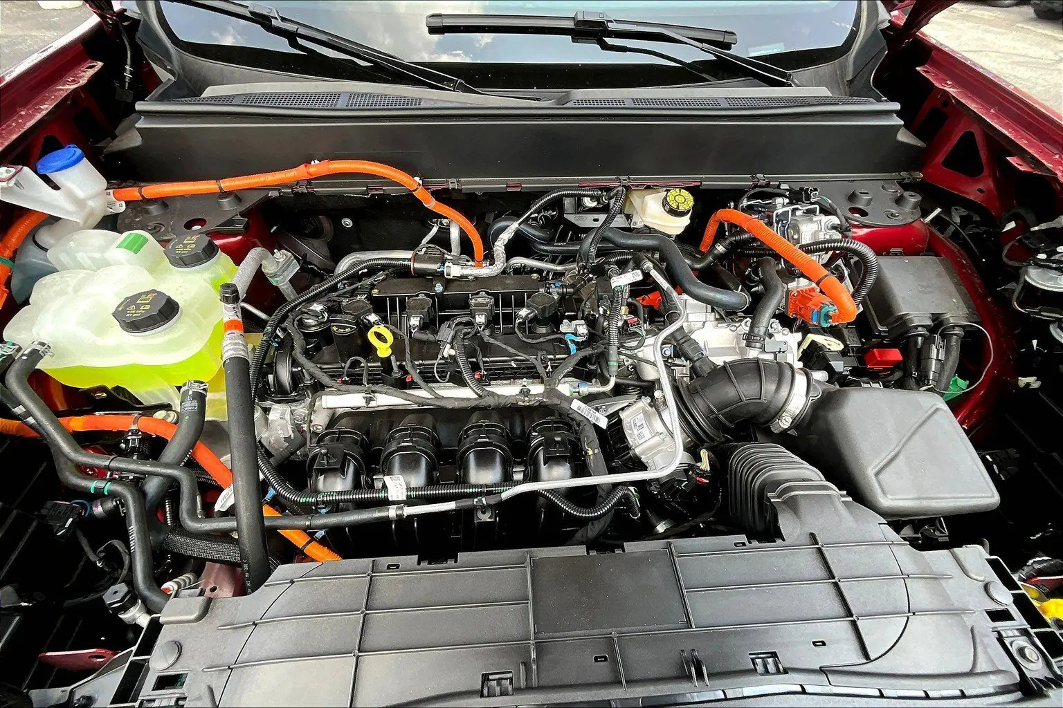 image-10