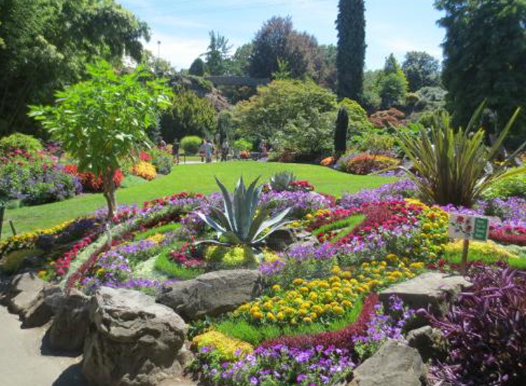 A view of a garden with a variety of plants and a small stream.