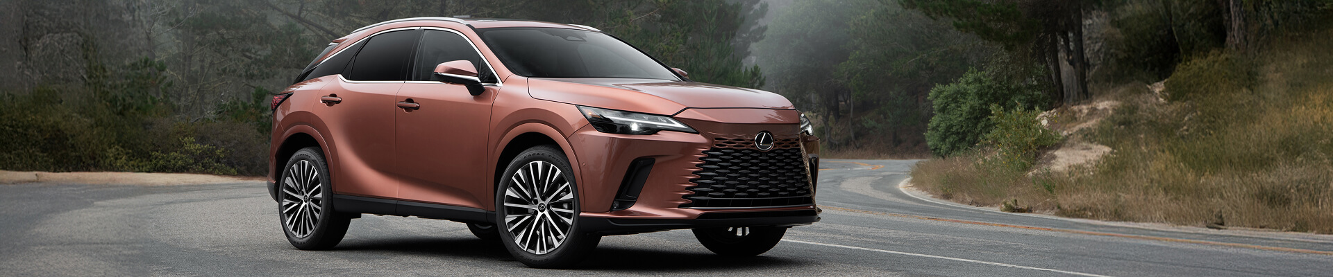 Lexus RX 350 Interior & Exterior