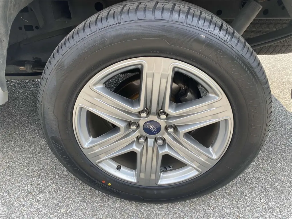 image-7