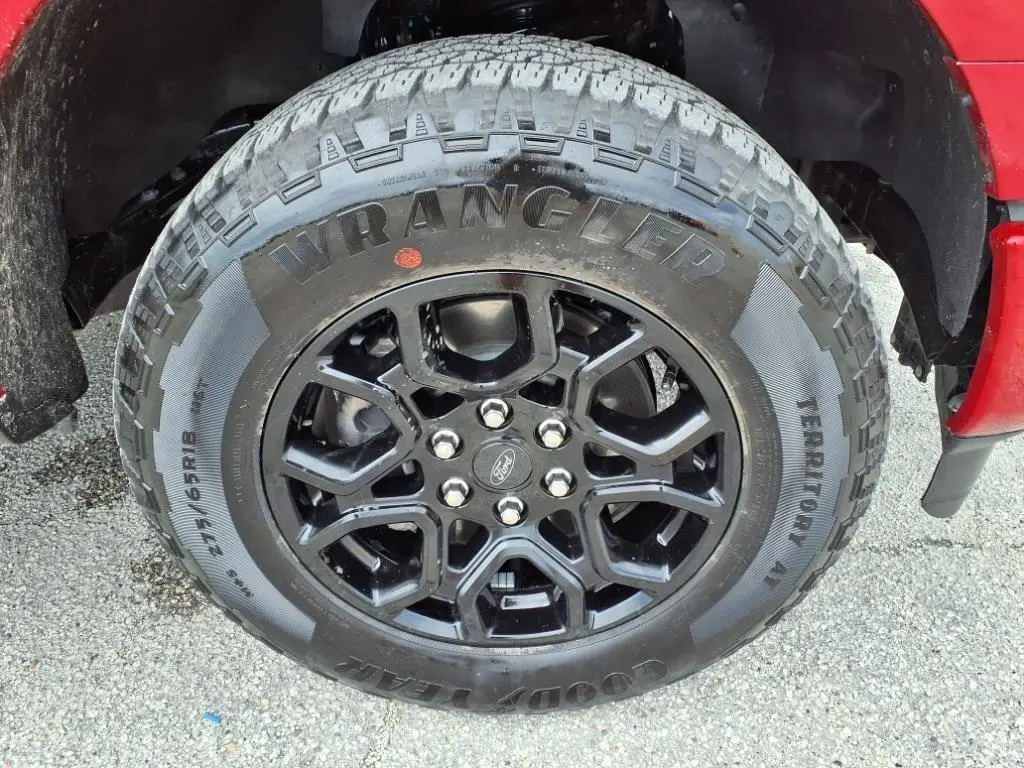 image-8