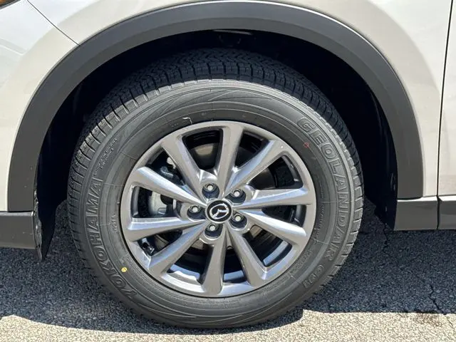 image-19