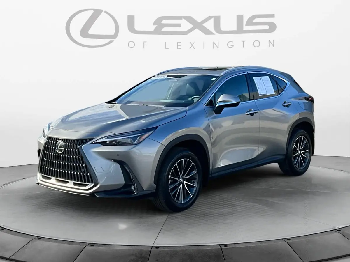 2024 Lexus NX Hybrid 350h's photo