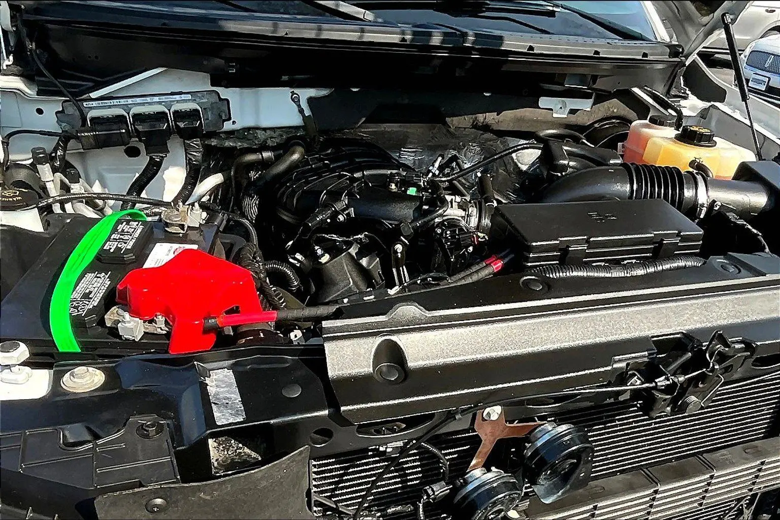 image-7